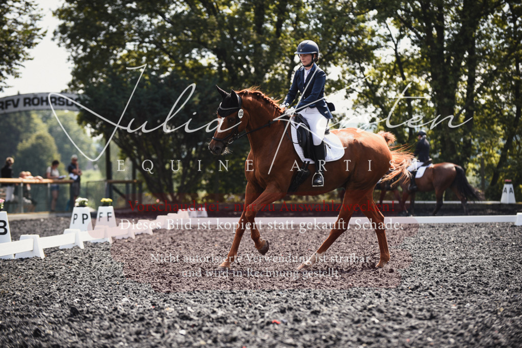 DSC_4120 | Pferde- und Turnierfotografie in Westsachsen. Pferdeportraits, Auftragszeichnungen und intuitive Kunst.