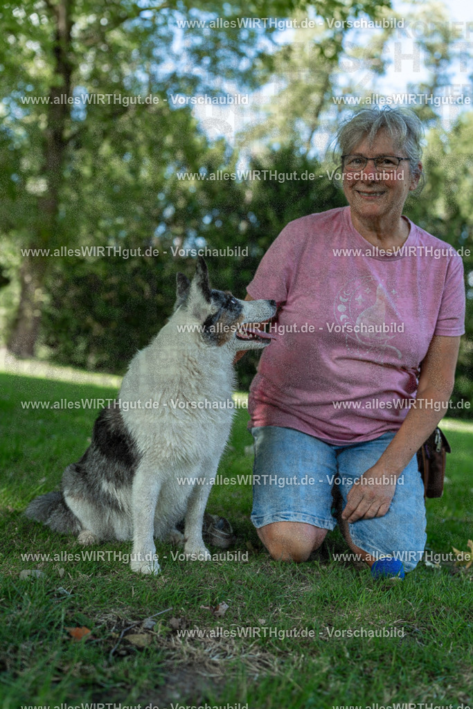Hundeschwimmen_Volksbad_2026-allesWIRTHgut_Tierfotografie-2609061325-7R500768 | Professionelle Tierfotografie in Mönchengladbach von Daniel Wirth (allesWIRTHgut). Liebevolle & natürliche Bilder von Hunden & Katzen für unvergessliche Erinnerungen.