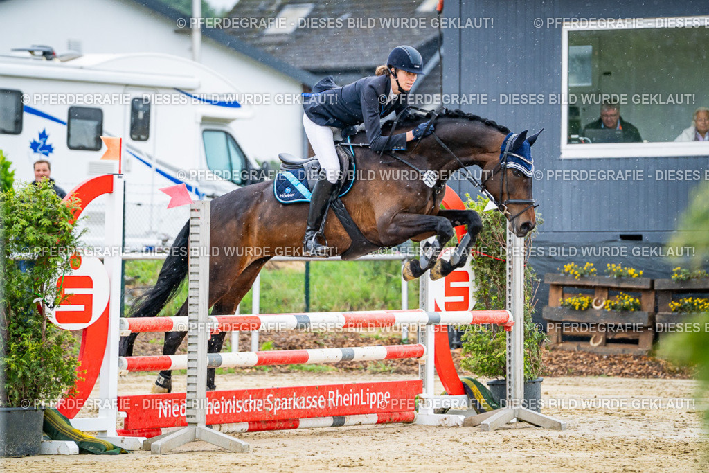 DSC02511 | Pferdegrafie