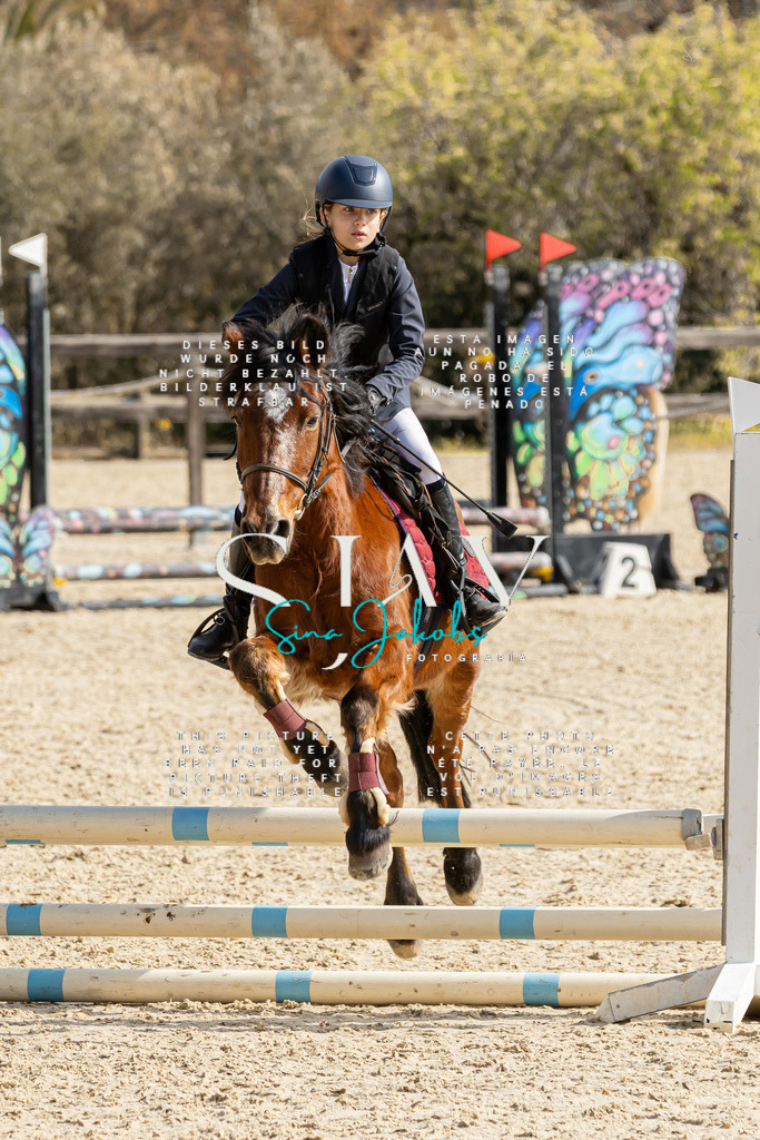 IMG_4384 | s-jay-photography - Realisiert mit Pictrs.com