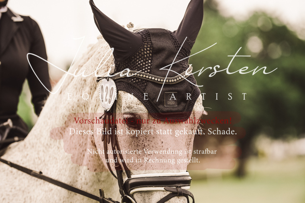 DSC_5008 | Pferde- und Turnierfotografie in Westsachsen. Pferdeportraits, Auftragszeichnungen und intuitive Kunst.