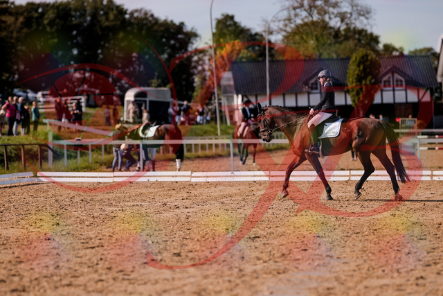 2026_10_03_Siefer-Hof_130229_Z81_56977838 | Professionelle Reitsport-, Turnier- und Eventfotografie von Robert Broda. Galerien mit ausgewählten und bearbeiteten Bildern direkt online ansehen und bestellen.