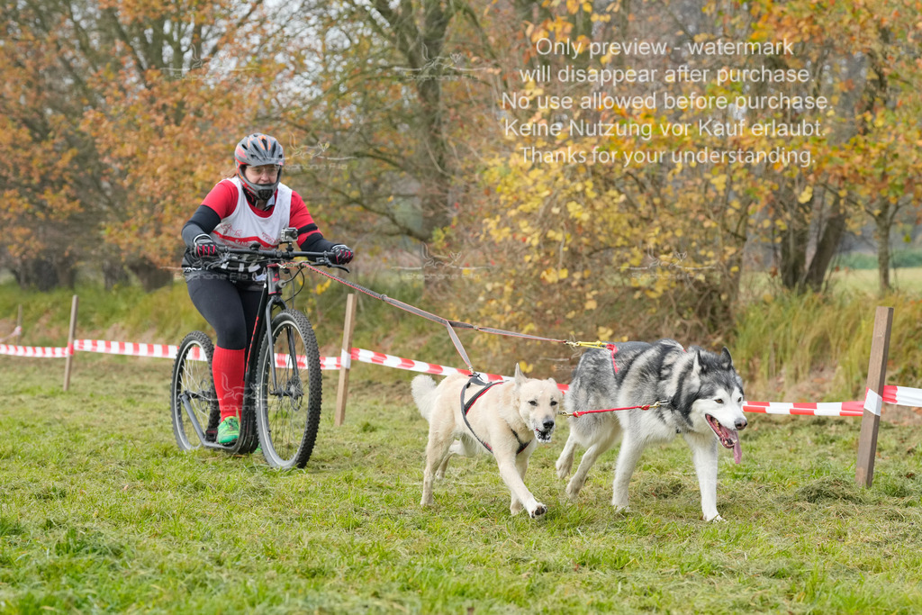 Visbeck_Sa_DS2DR2-131 | stephaniefillaphotographie - Realisiert mit Pictrs.com