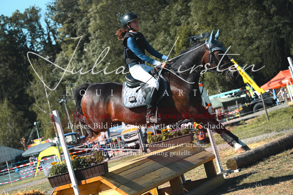 DSC_7939 | Pferde- und Turnierfotografie in Westsachsen. Pferdeportraits, Auftragszeichnungen und intuitive Kunst.