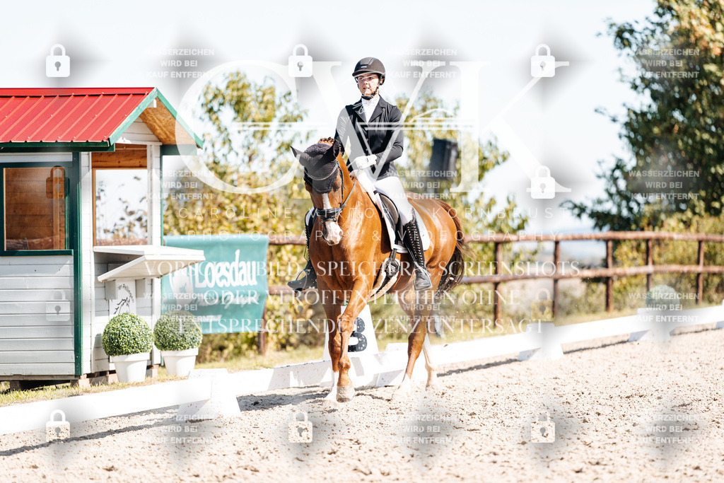 CK909562 | Turnierfotografie Pferdefotografie Trier Rheinland-Pfalz Pferdesport Reitsport Tierfotografie Sportfotografie Pferdevideo Pferdevideografie Equestrianvideography equestrianphotography  - Realisiert mit Pictrs.com