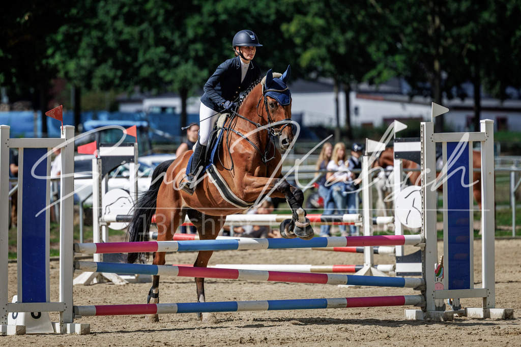 20260905-_3LI8646 | Tierfotografie Pferde, Hunde, Katzen, Haustiere.
Turnierfotografie Reitturniere, Reiten, Springreiten, Dressur in Hanau, dem Main-Kinzig-Kreis und dem Rhein-Main- Gebiet um Frankfurt