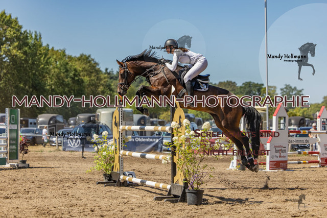 26-8-9 SPR M-342 | mandyhollmannphotographie
