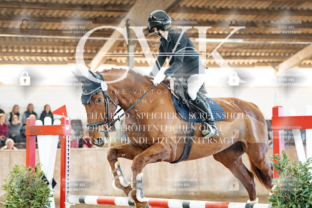 CK904094 | Turnierfotografie Pferdefotografie Trier Rheinland-Pfalz Pferdesport Reitsport Tierfotografie Sportfotografie Pferdevideo Pferdevideografie Equestrianvideography equestrianphotography  - Realized with Pictrs.com