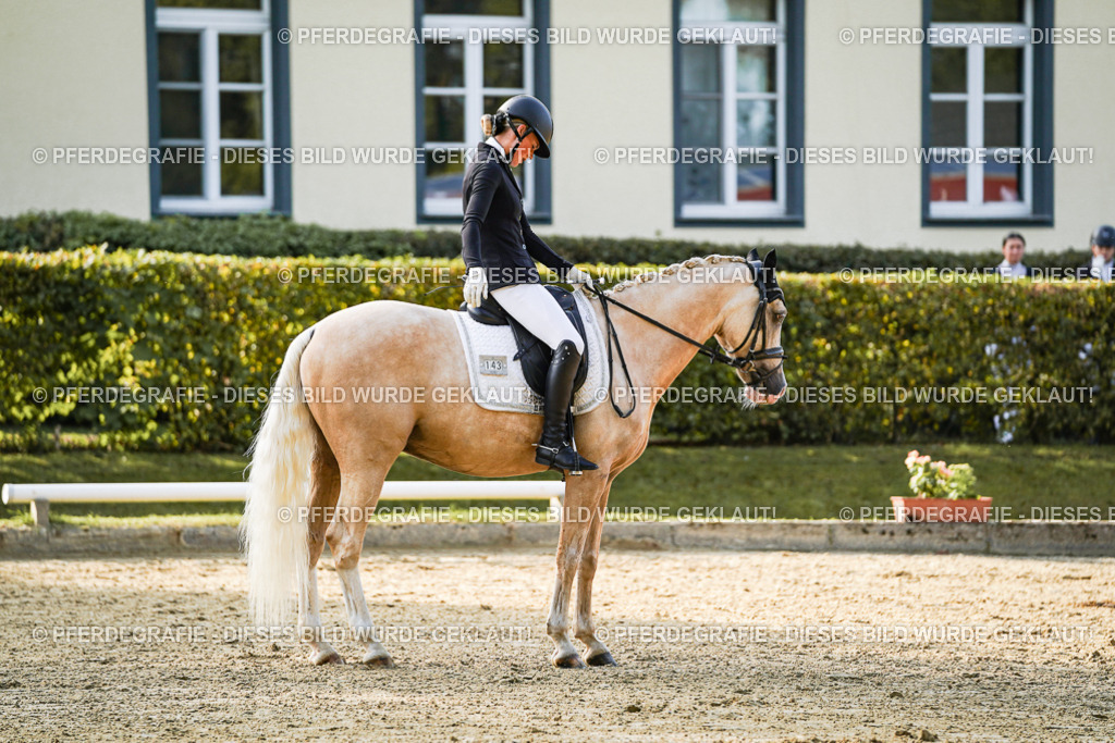 DSC04980 | Pferdegrafie