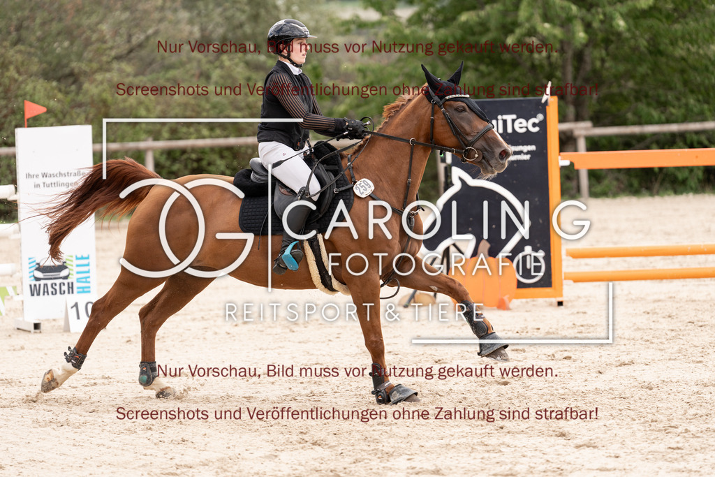 DSC06750 | Springturnier_Teamchallege_Talheim_2026, Lara-Sophie_Strom, Nectarine_V.D.Wart