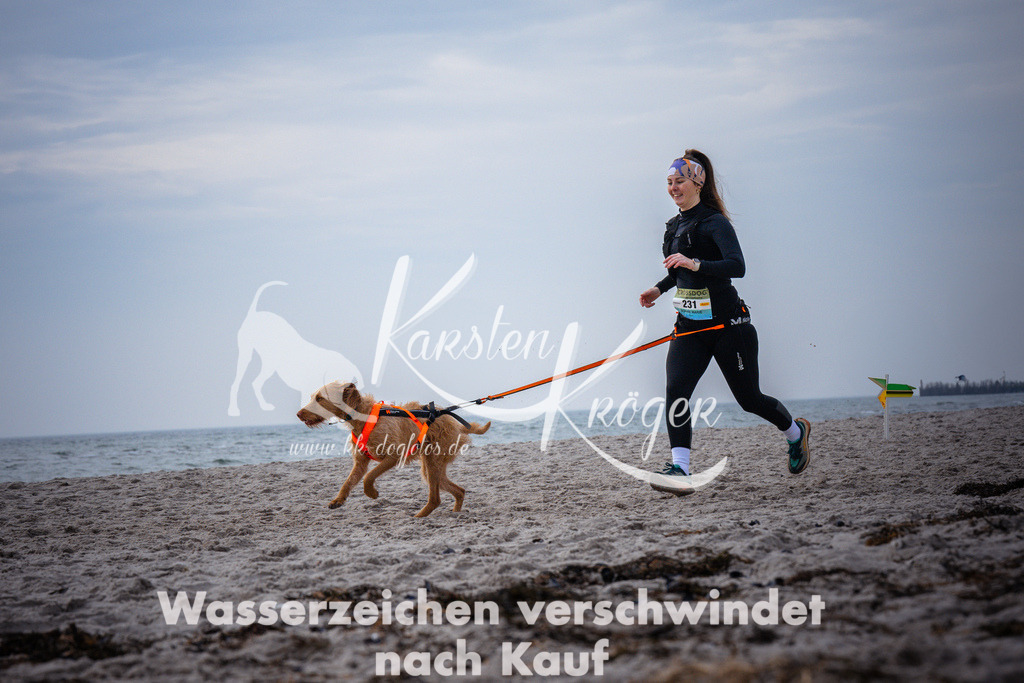 1041_ZZ96102 | kk-dogfotos