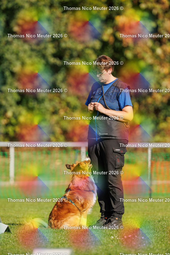Thomas_Nico_Meuter(C)_04. Oktober 2026_223A1788 | Bild von Thomas Nico Meuter - Realisiert mit Pictrs.com