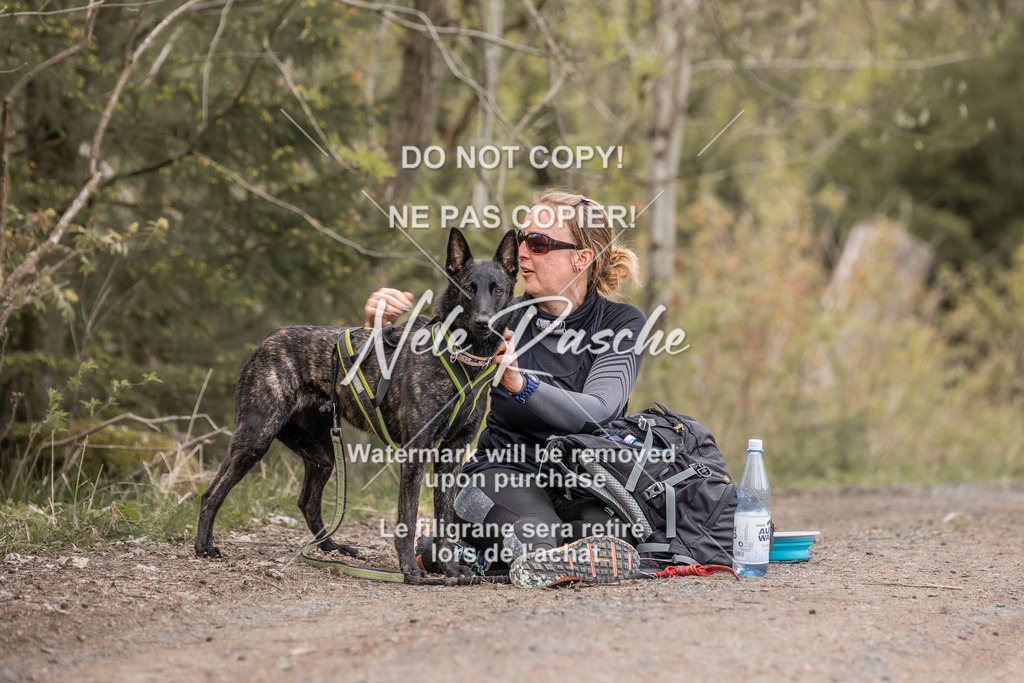 6Z1A1382 | nelerasche