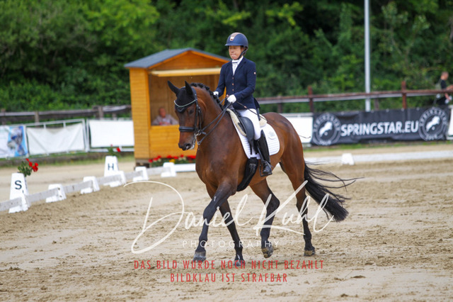 DKP47590 | Turniersportfotografie; Pferdefotografie; Dressurfotografie