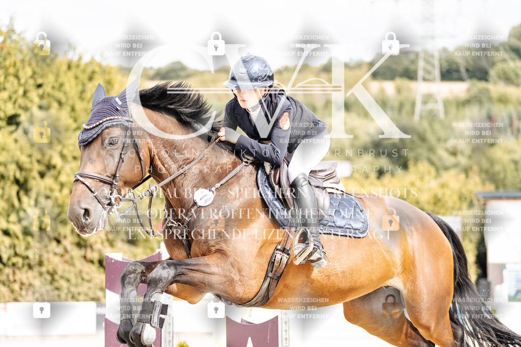 CK901906 | Turnierfotografie Pferdefotografie Trier Rheinland-Pfalz Pferdesport Reitsport Tierfotografie Sportfotografie Pferdevideo Pferdevideografie Equestrianvideography equestrianphotography  - Realisiert mit Pictrs.com