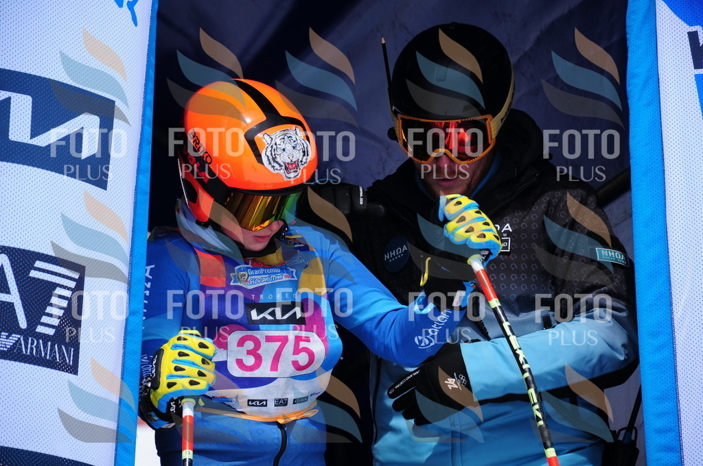 DSC_7355 | holidayphoto