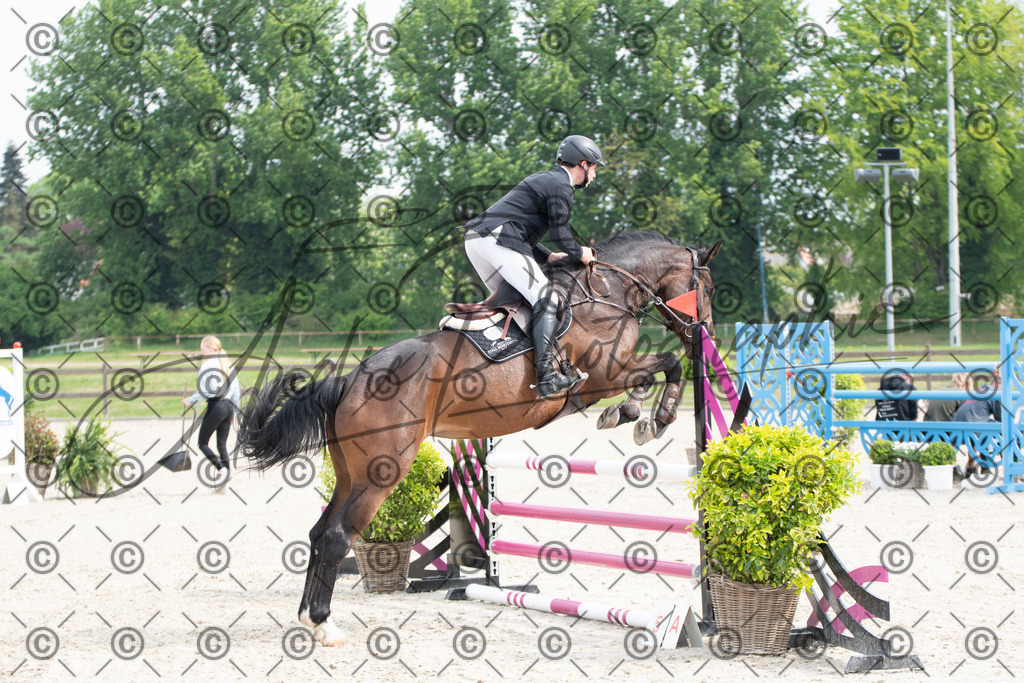 KPT_2438 | andre_photographic