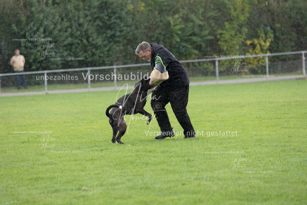 _16A7159 | Einzigartige Fotos von Hunden & Menschen –Actionfotos, Portraits, Vereinsaufnahmen & Paarshootings – authentisch, lebendig & mit Herz.