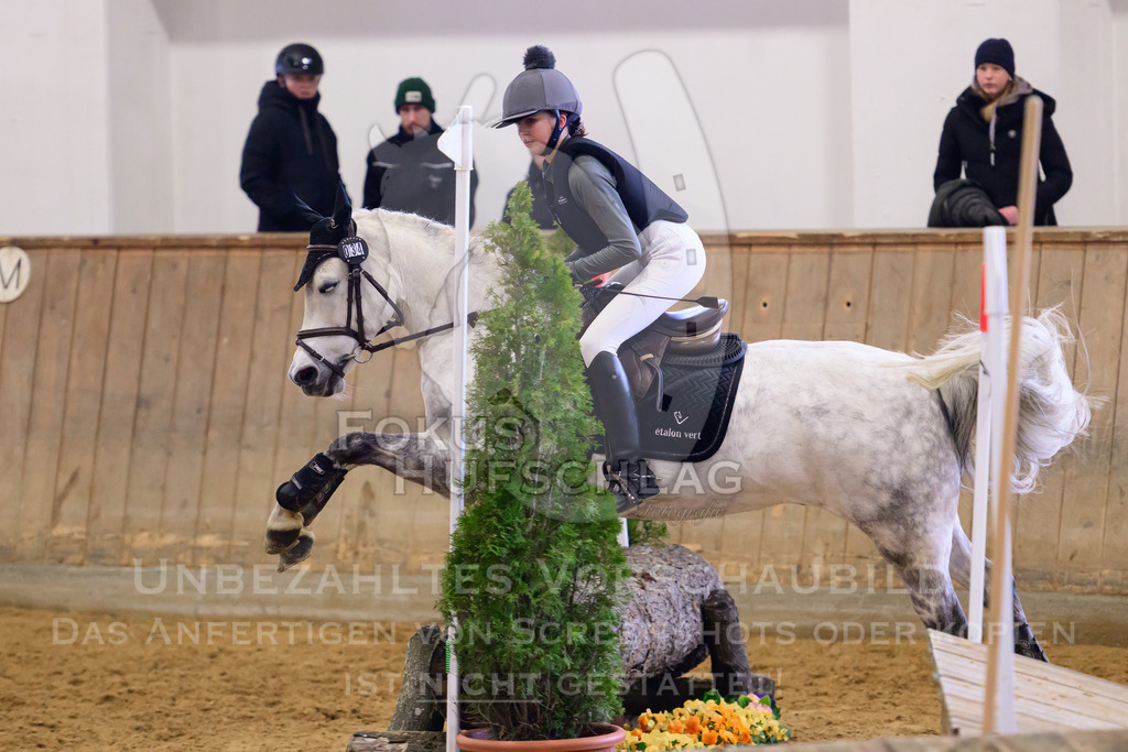 29032026-Schwaiganger-Prfg02-1-0485 | Fokus Hufschlag Fotografie - Realisiert mit Pictrs.com