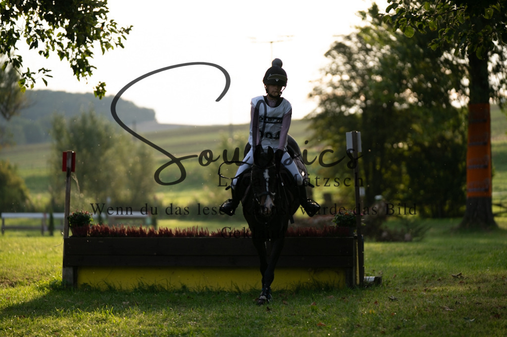 A7V02837 | Pferdefotograf