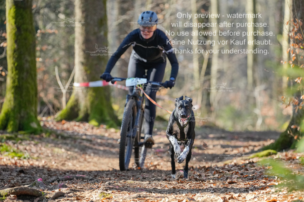 Bike_So-52 | stephaniefillaphotographie - Realisiert mit Pictrs.com