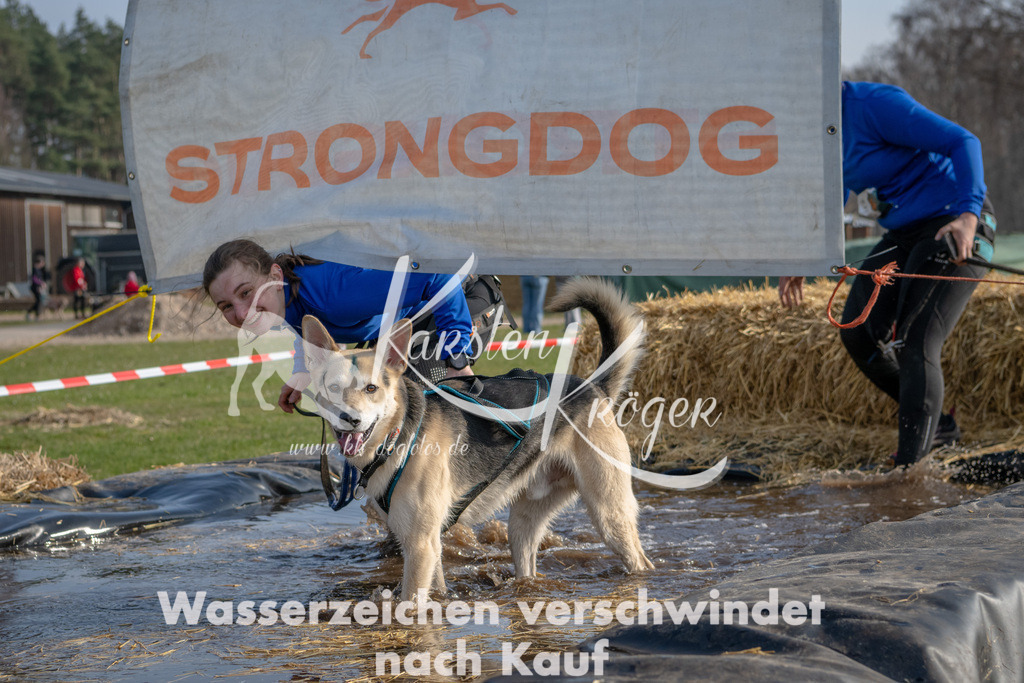 _ZZ90068 | kk-dogfotos