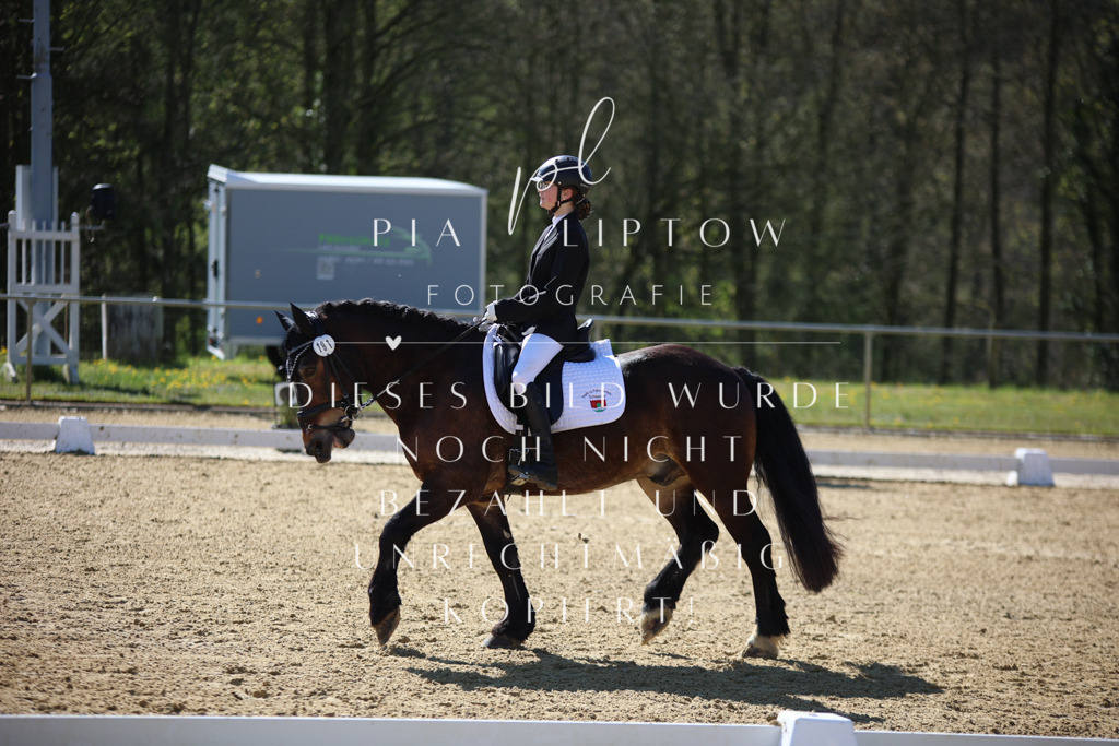 IMGT0423 | pl-fotografie