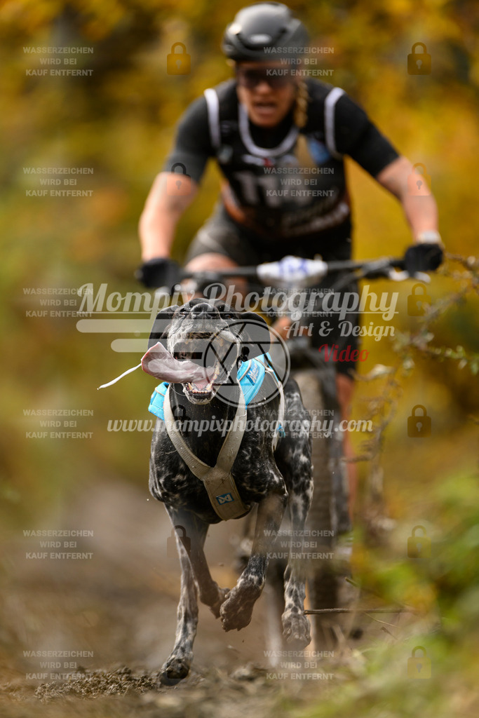 MompixPhotography_ICF_WC_2024_SA_Bike_-91 | PayLife
