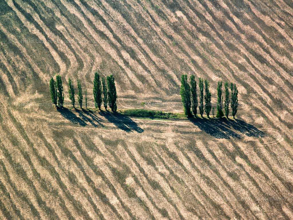 9300156 | GROßENHAIN 15.08.2009 Baum - Landschaft mit Feld - Strukturen auf sommerlich , abgeernteten Getreide - Feldern bei Großenhain im Bundesland Sachsen. //  Tree - Landscape with field - structures on summer, harvested corn - fields in Großenhain in Saxony. Foto: Gerhard Launer