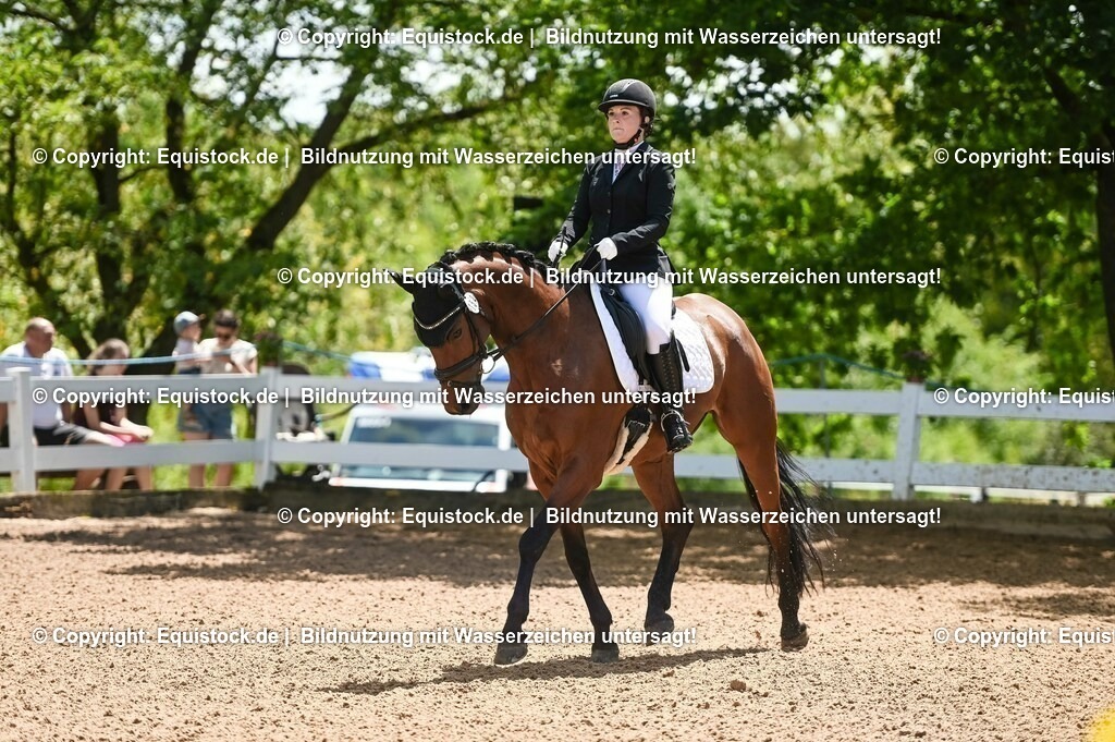 20230716_03_Dressurprfg. Kl.L - Tr._0090 | equistock