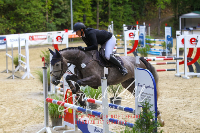 DKP40430 | Turniersportfotografie; Pferdefotografie; Dressurfotografie