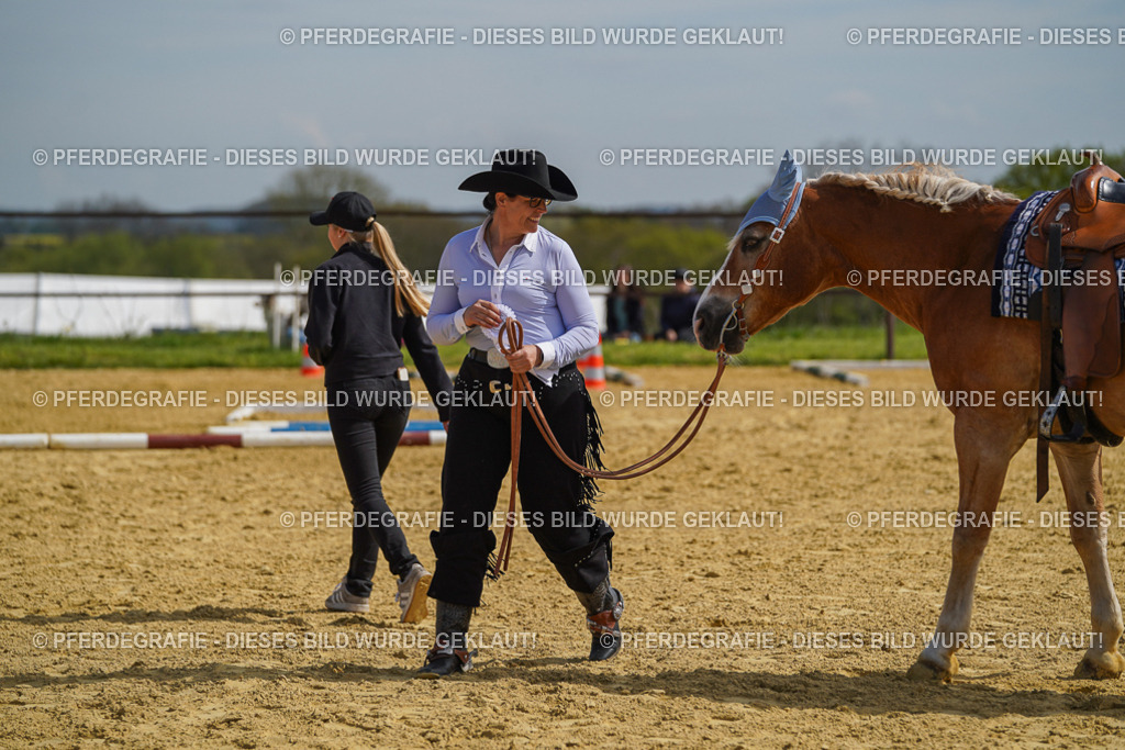 DSC04238 | Pferdegrafie