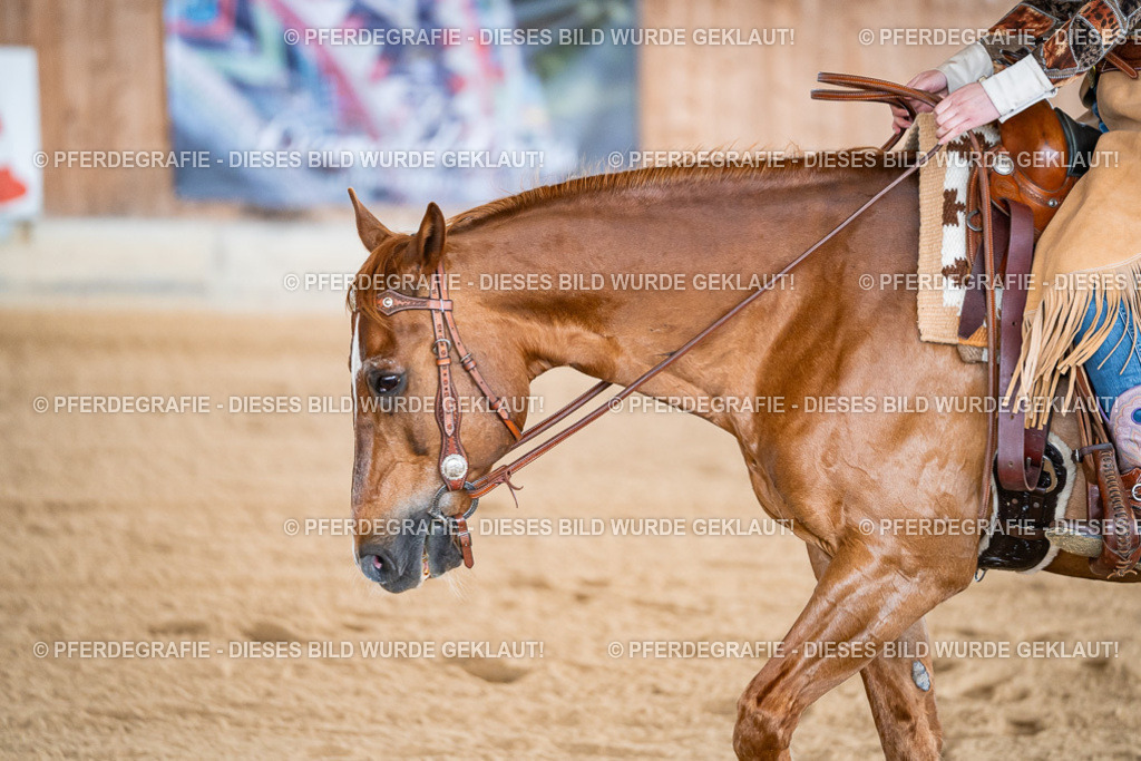 DSC07799 | Pferdegrafie