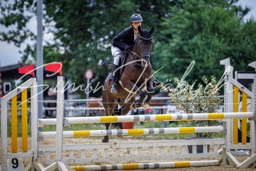 20260705-_3LI5432 | Tierfotografie Pferde, Hunde, Katzen, Haustiere.
Turnierfotografie Reitturniere, Reiten, Springreiten, Dressur in Hanau, dem Main-Kinzig-Kreis und dem Rhein-Main- Gebiet um Frankfurt