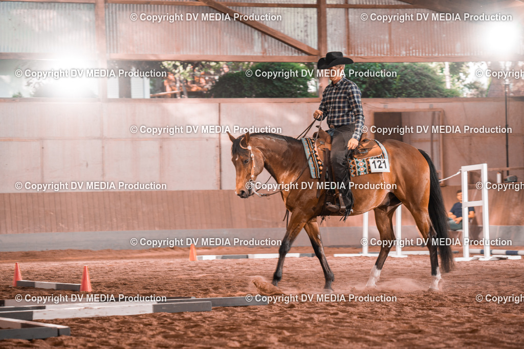 NE300145 | dv-media-shop - Realisiert mit Pictrs.com