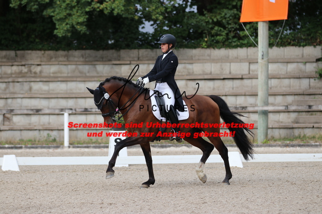 IMG_6099 | lmwpictures - Realisiert mit Pictrs.com