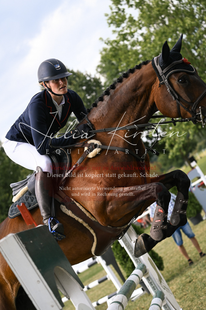 DSC_0805 | Pferde- und Turnierfotografie in Westsachsen. Pferdeportraits, Auftragszeichnungen und intuitive Kunst.