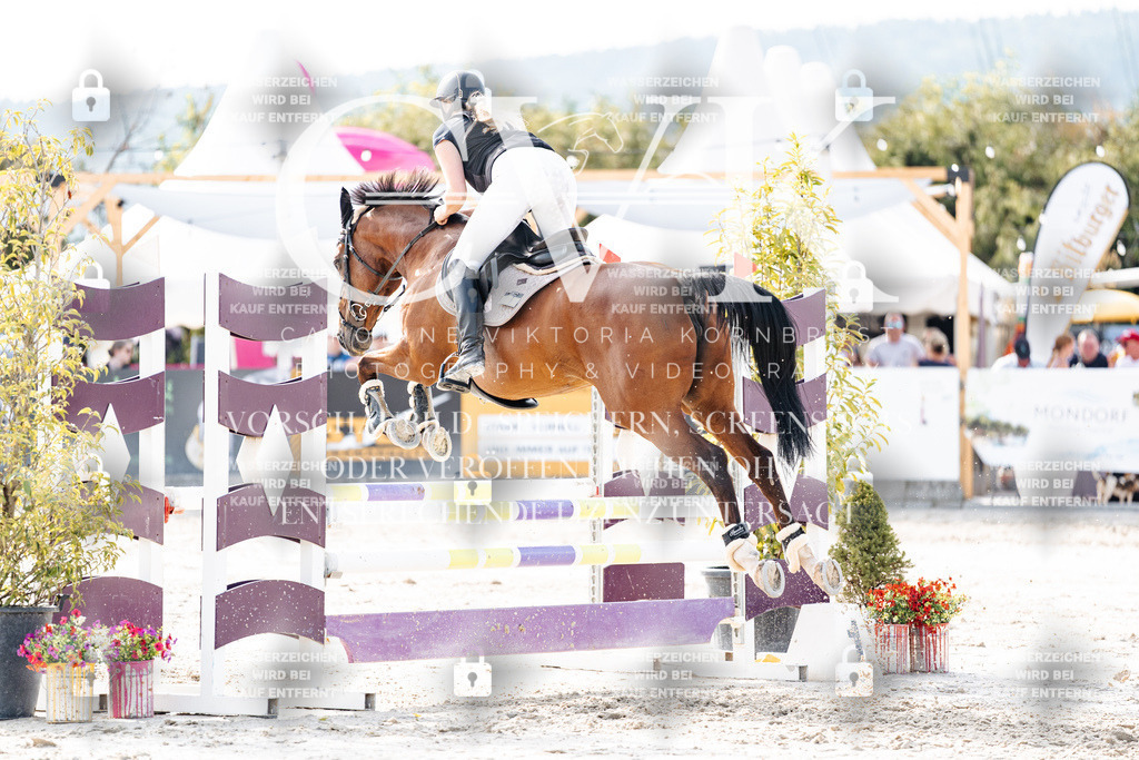CK906091 | Turnierfotografie Pferdefotografie Trier Rheinland-Pfalz Pferdesport Reitsport Tierfotografie Sportfotografie Pferdevideo Pferdevideografie Equestrianvideography equestrianphotography  - Realisiert mit Pictrs.com