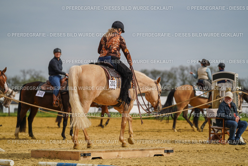 DSC02190 | Pferdegrafie