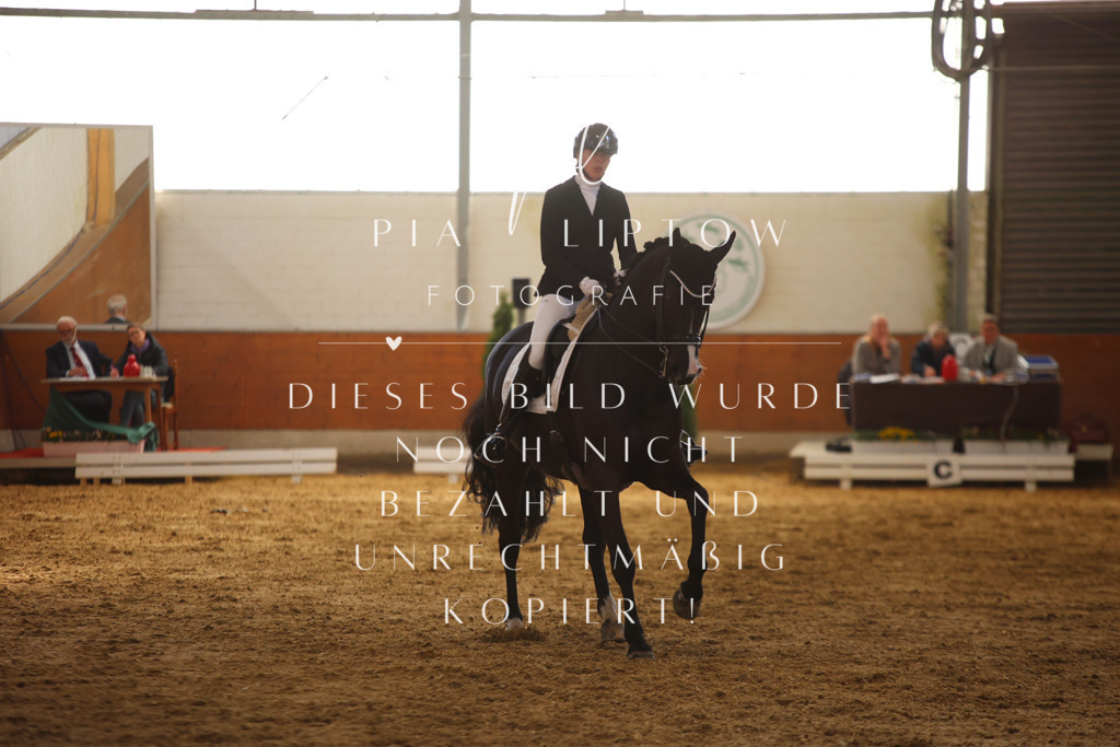 IMGT0015 | pl-fotografie