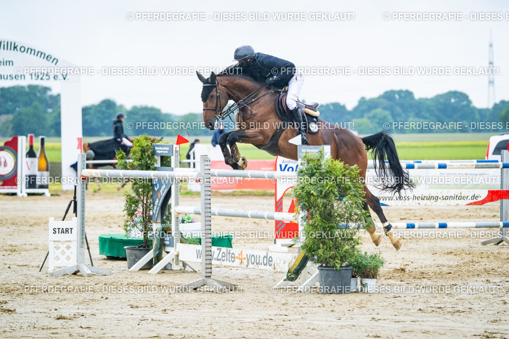 DSC00220 | Pferdegrafie