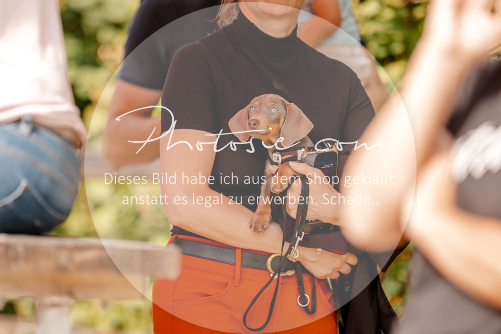 3I6A4293 | Stimmungsvolle Portraits und Reitsportfotografie im Ruhrgebiet und im Münsterland.

Pferdefotografie, Hundefotografie, Tierfotografie, Reportagen, Portraits von Tier und Mensch, Turnierfotografie in Bochum, Recklinghausen, Marl, Haltern am See, Dülmen.. - Realisiert mit Pictrs.com