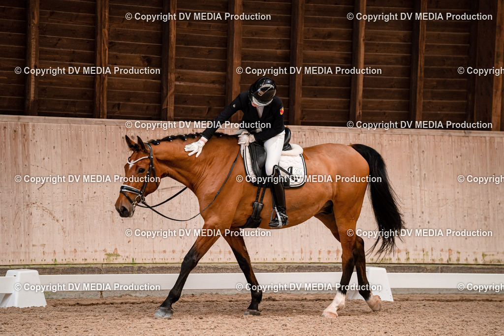 Dressur Tag 2-347 | dv-media-shop - Realisiert mit Pictrs.com