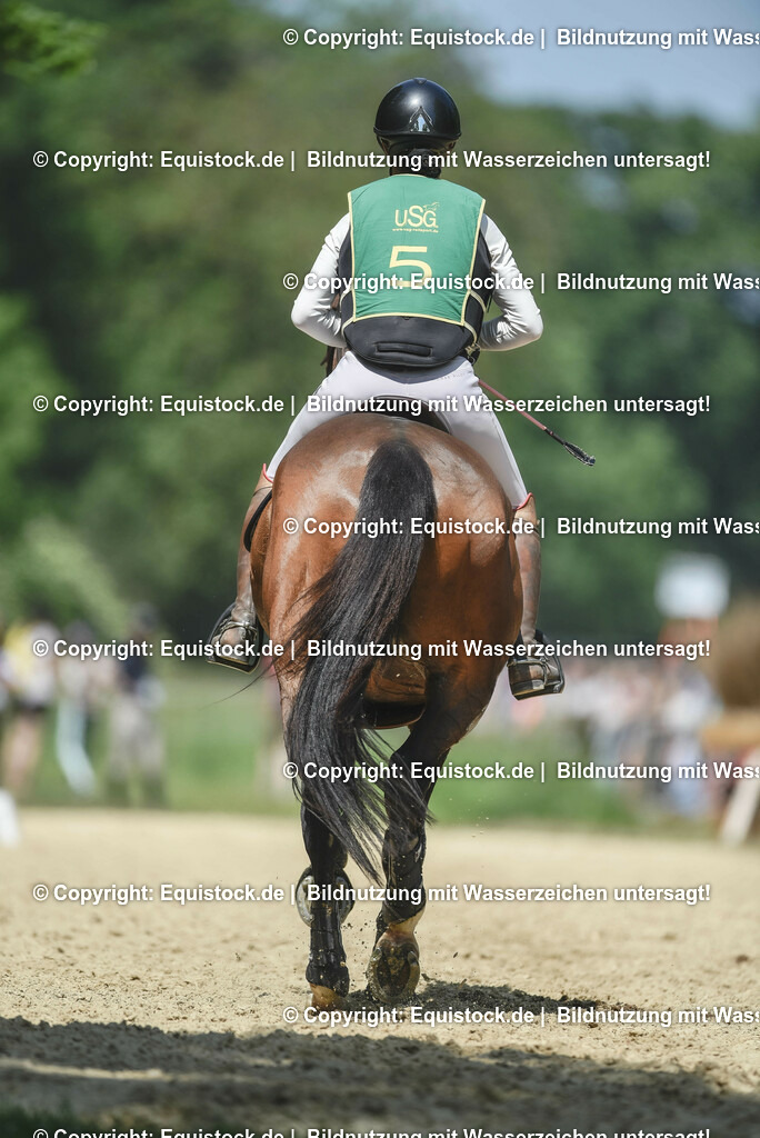 20230527_27_CCI4_Gelände_0016 | equistock