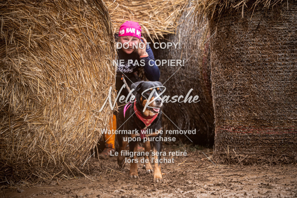 nelerasche_Hunsrück_So09-11_03 | nelerasche