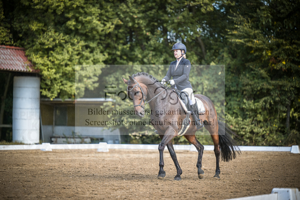 DOS_3949 | Entdecke hochwertige Reitturnierfotos von Foto Oger. Professionell, emotional und authentisch – jetzt Lieblingsmomente im Shop bestellen.Deutschlandweite Turnierfotografie. - Realisiert mit Pictrs.com