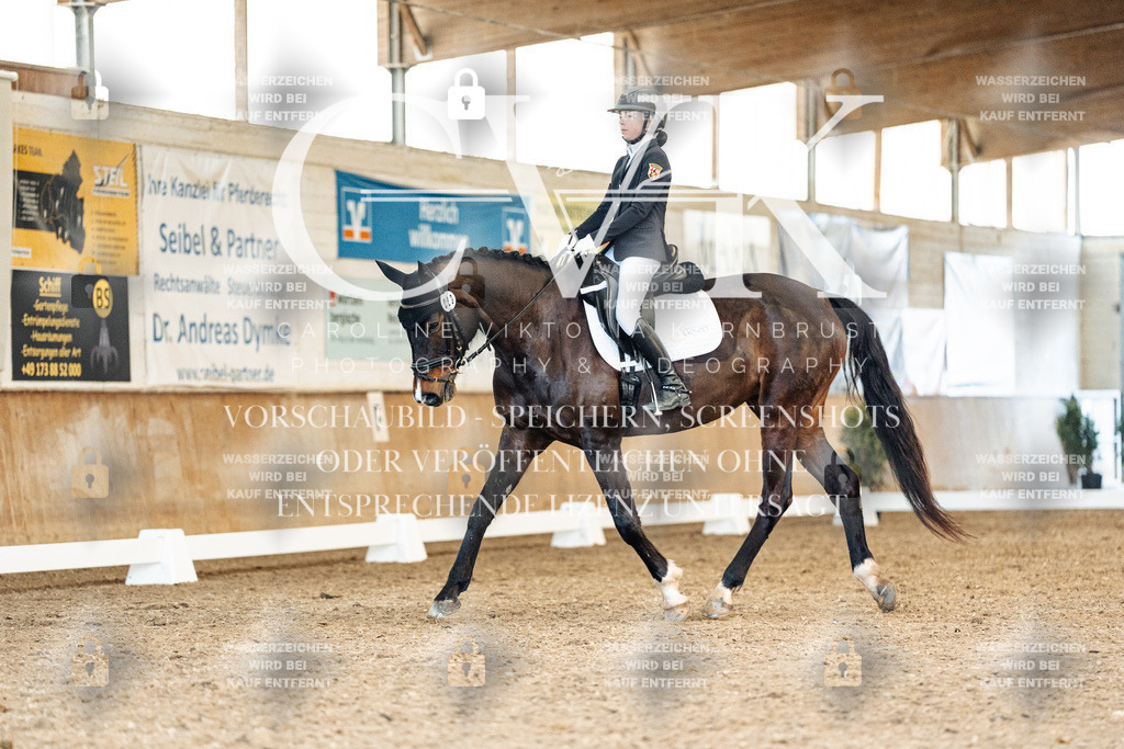 CK909920 | Turnierfotografie Pferdefotografie Trier Rheinland-Pfalz Pferdesport Reitsport Tierfotografie Sportfotografie Pferdevideo Pferdevideografie Equestrianvideography equestrianphotography  - Realisiert mit Pictrs.com