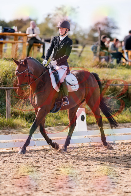 2026_10_03_Siefer-Hof_130901_Z81_62768417 | Professionelle Reitsport-, Turnier- und Eventfotografie von Robert Broda. Galerien mit ausgewählten und bearbeiteten Bildern direkt online ansehen und bestellen.