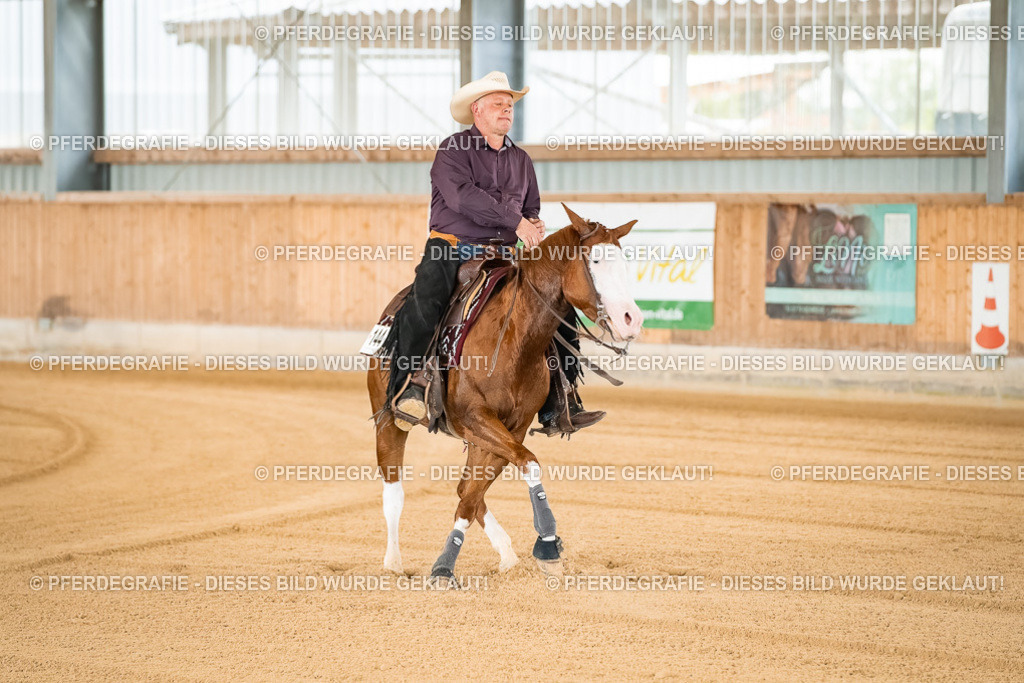 DSC01488 | Pferdegrafie