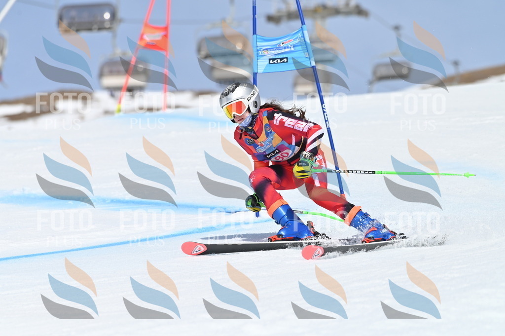 BGV_0621 | holidayphoto